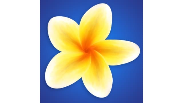 奇娅Tchia-v1.1-中文30帧-