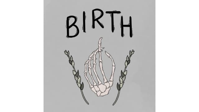 诞生Birth-v0.1-中文60帧-