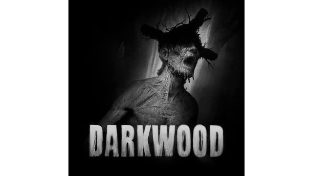 黑暗森林Darkwood-v1.0.0-中文60帧-