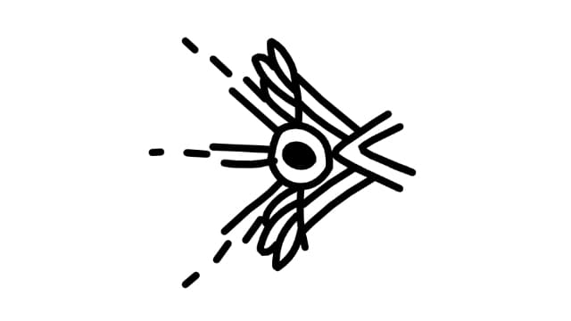 幼鳞Ynglet-v1.4.1-中文60帧-