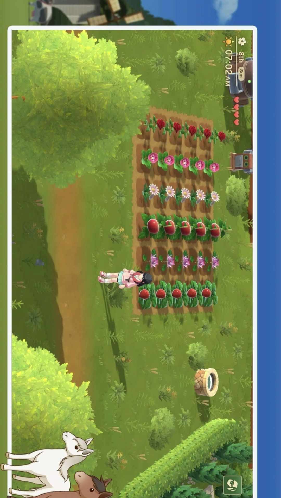 图片[2]-安卓手机游戏《牧场物语：甜蜜之家v1.0》[完整版]种田游戏祖师爷归来啦！-无差资源站