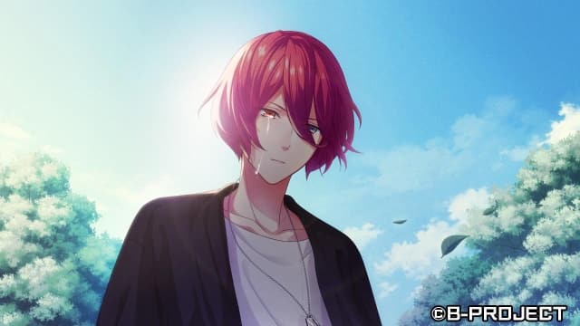 B计划 流星幻想曲-v1.0.0-中文60帧 image 3