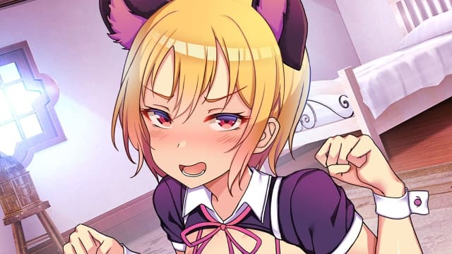 动漫乐园Anime Paradise-v1.0.1-2dlc-中文-60帧 image 2