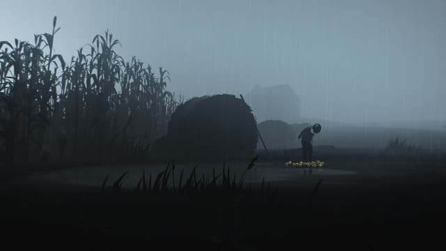 囚禁 INSIDE-v1.0.3-30帧-第一次黑屏重新进一次就好了 image 3
