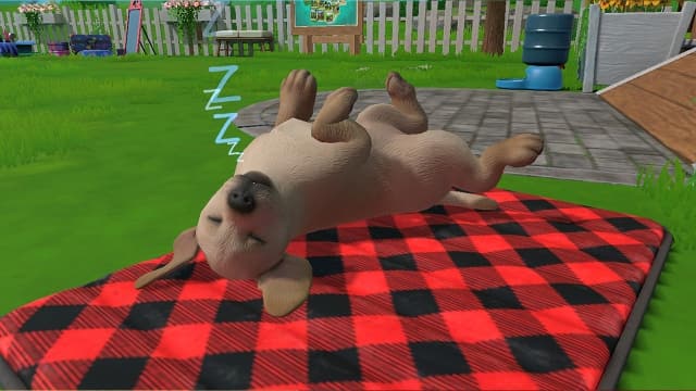 小小伙伴：狗狗小岛Little Friends Puppy Island-v1.0.1.0-中文30帧 image 3