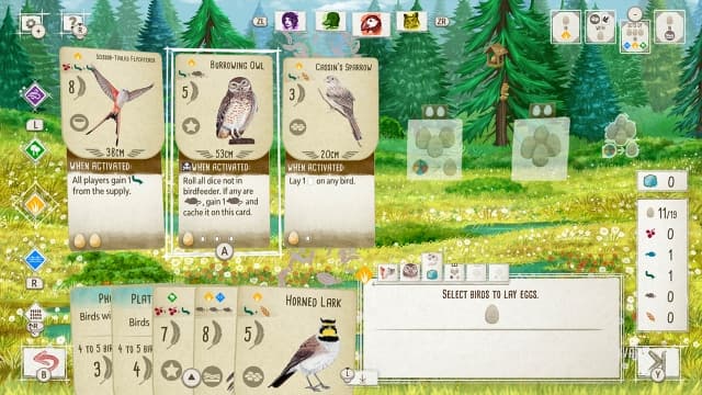 展翅翱翔 Wingspan-v1.6.599-60帧 image 5