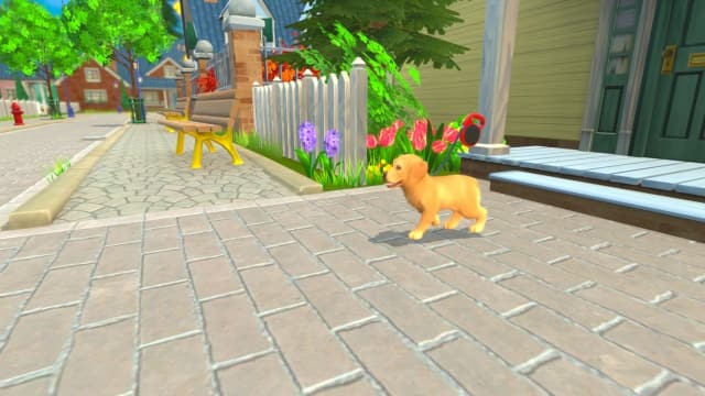 我的领域：小猫小狗-v1.0.3-中文30帧 image 2