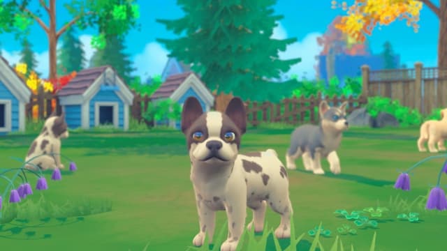 我的领域：小猫小狗-v1.0.3-中文30帧 image 4