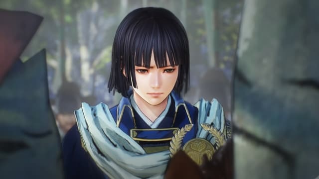 战国无双5-v1.03-28dlc-30帧 image 2