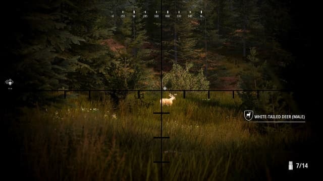 模拟狩猎2Hunting Simulator 2-v1.2.0-4dlc-中文30帧 image 2