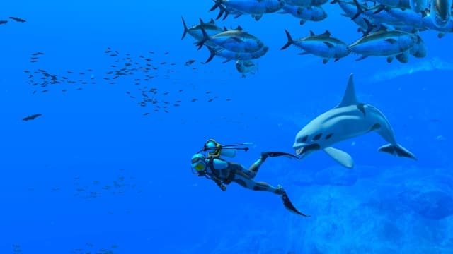 永恒蔚蓝 流光Endless Ocean Luminous-v1.0.0-中文30帧 image 3