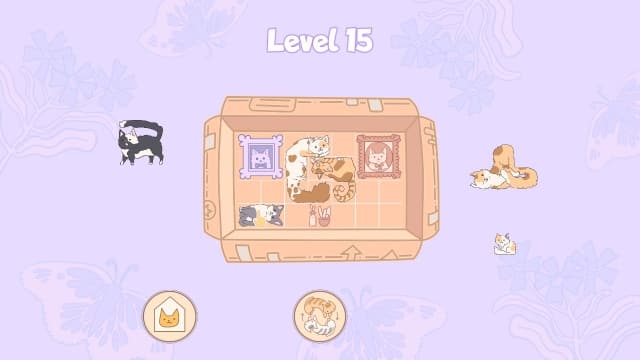 盒中猫Cats in Boxes-v1.0-中文60帧 image 5