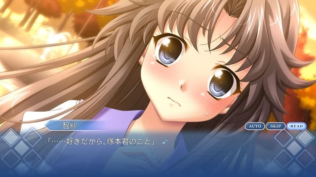 秋之回忆5：中断的胶片-v1.0.1-60帧 image 4
