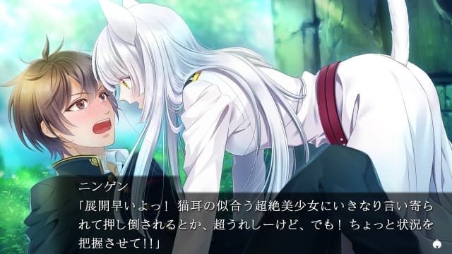 穿军靴的猫-60帧-日文 image 2
