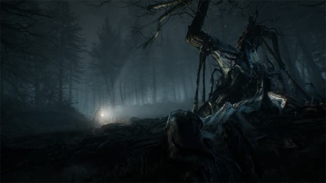 布莱尔女巫Blair Witch-v1.0.0-中文60帧 image 2