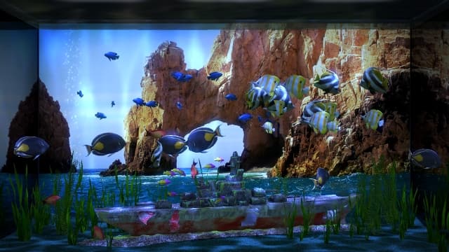 水族馆电视AquaTV-v1.1.0-中文60帧 image 4