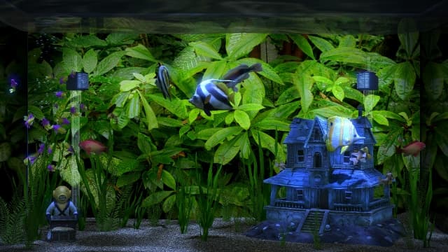 水族馆电视AquaTV-v1.1.0-中文60帧 image 5