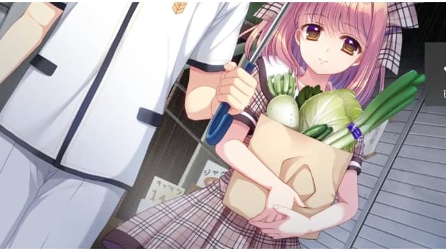 繁花落舞恋如樱-Re：BIRTH-v1.0.0-中文60帧 image 4