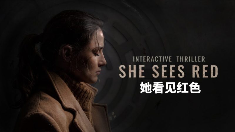 安卓手机游戏《她看见红色v1.73》[完整版]Steam移植-