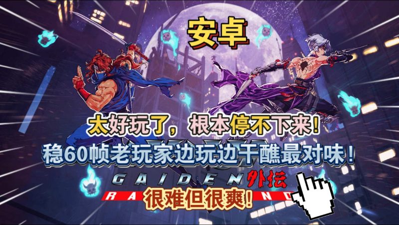 安卓手机游戏《忍者外传怒之羁绊》[中文完整版]很难但很爽 !稳60帧致敬经典回归NES时代纯粹的忍者梦，老玩家边玩边干醮最对味!-