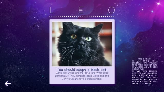 星座猫猫Zodiacats-v1.0.1-中文60帧 image 2