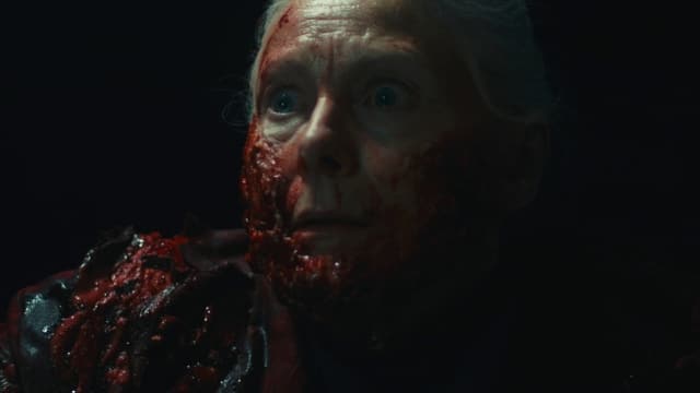 死亡重置Dead Reset-v1.0.1-安卓打不开捏 image 3