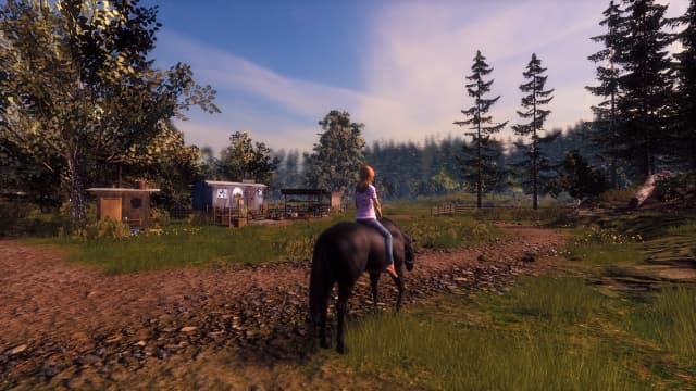 风暴:深厚友谊的开始-v1.9.0-中文60帧 image 3